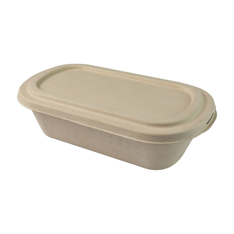 Biodegradable Disposable Sugarcane Bagasse takeaway Containers Box