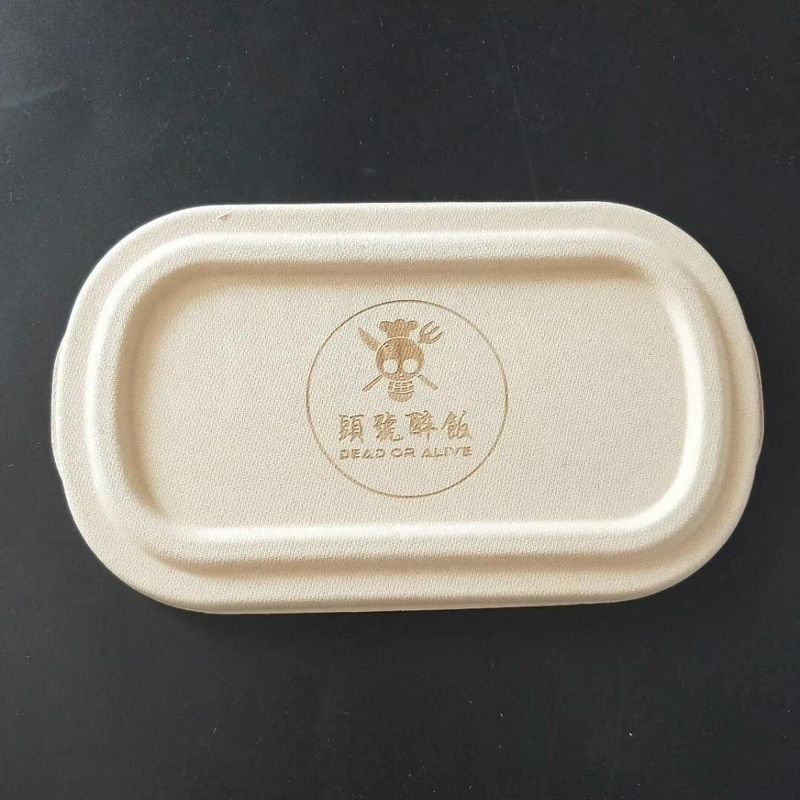 Biodegradable Disposable Sugarcane Bagasse takeaway Containers Box