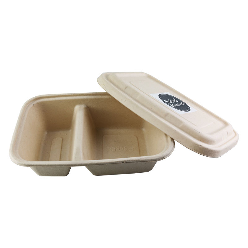 Biodegradable Paper Pulp Lunch Container, Sugarcane Bagasse Food Container, Disposable Tableware