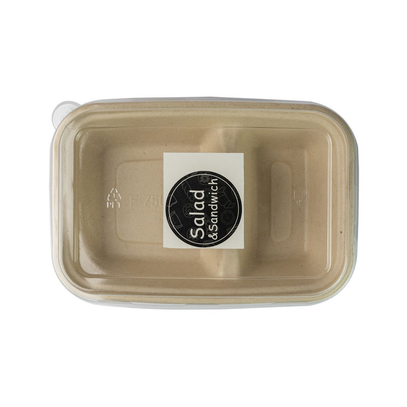 Biodegradable Paper Pulp Lunch Container, Sugarcane Bagasse Food Container, Disposable Tableware