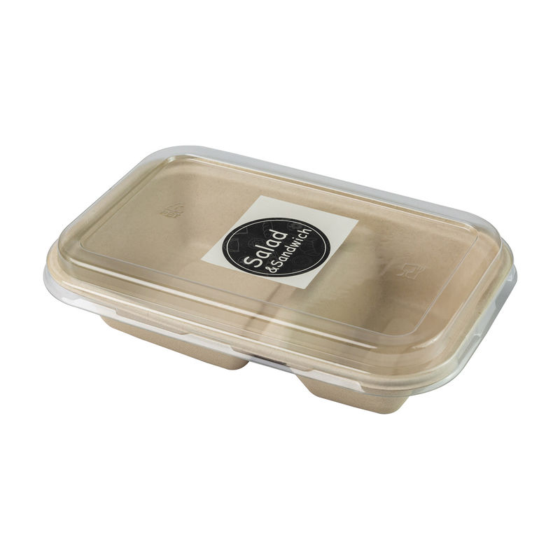 Biodegradable Paper Pulp Lunch Container, Sugarcane Bagasse Food Container, Disposable Tableware