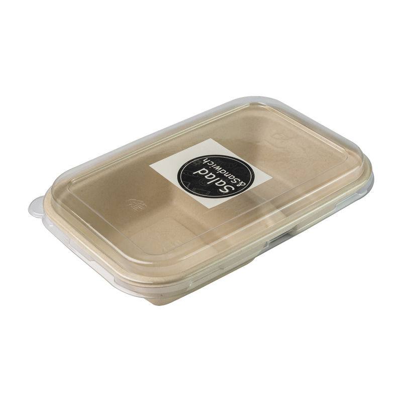 Biodegradable Paper Pulp Lunch Container, Sugarcane Bagasse Food Container, Disposable Tableware