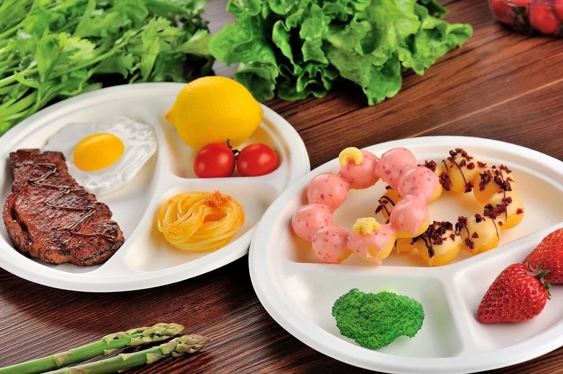 Disposable Tableware Biodegradable Sugarcane Bagasse Plates Refrigerator Wedding