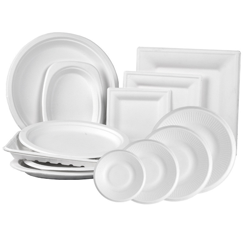 Natural Bagasse Round Premium Biodegradable Plates Disposable