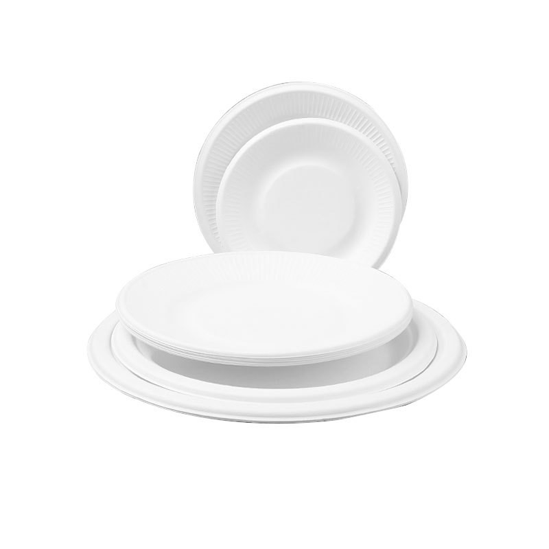 Sugarcane Bagasse White Biodegradable Food Plate Compostable