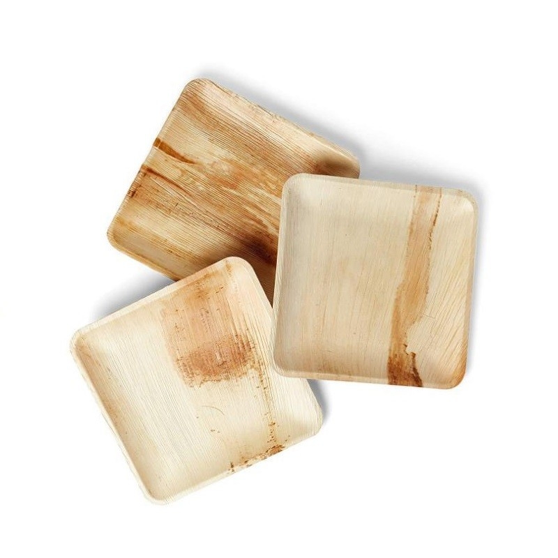 OEM Biodegradable Palm Leaf Plates With Laminated Packing