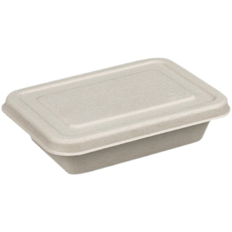 Eco Friendly Compostable Sugarcane Pulp Disposable Take Out Containers