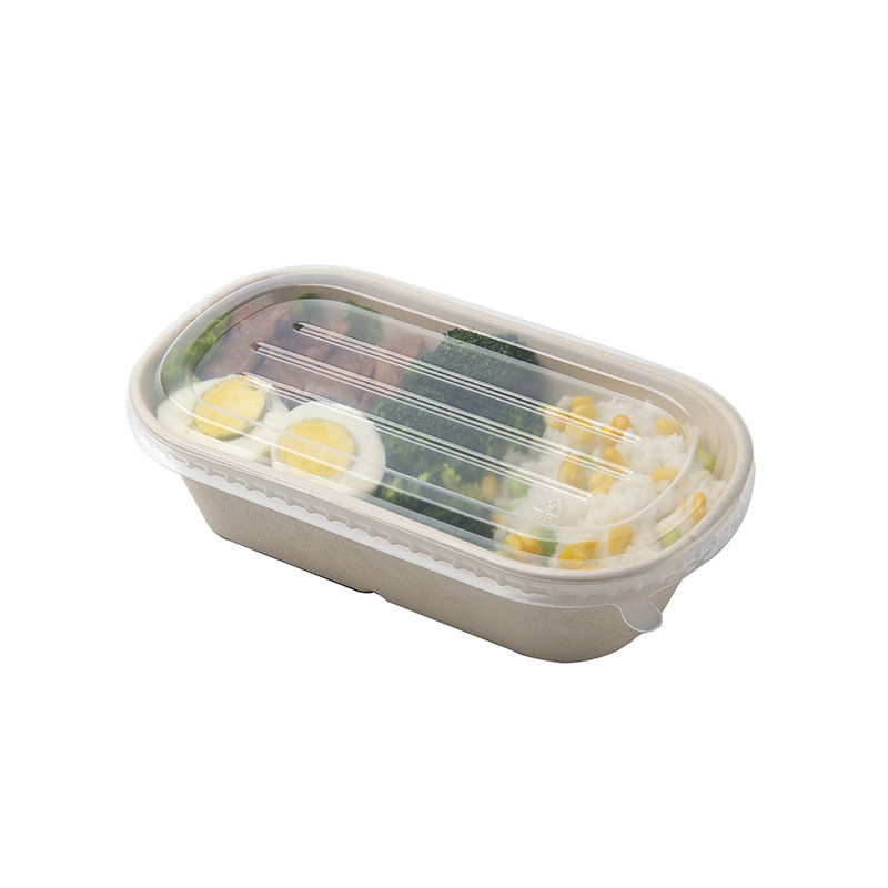 Eco Friendly Compostable Sugarcane Pulp Disposable Take Out Containers