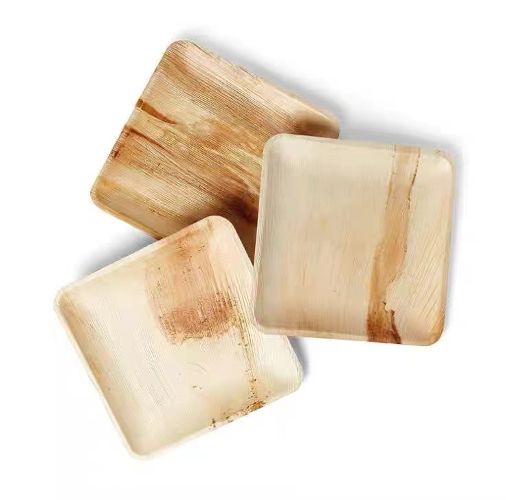 Biodegradable Disposable 10 Inch Square Areca Palm Leaf Plates For Corporate Events