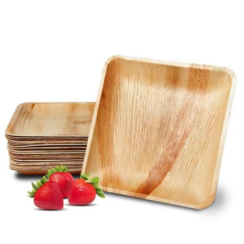 100% Compostable Biodegradable Palm Leaf Plates Disposable
