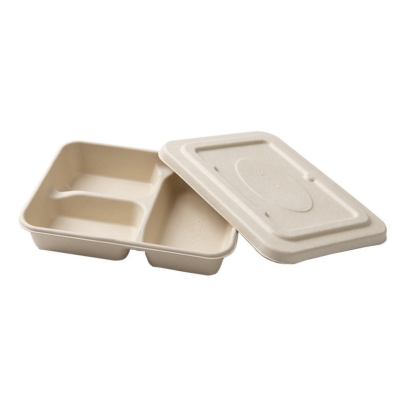 Sugarcane Pulp Lunch Takeaway Bento Box 4 5 Compartment Biodegradable Disposable