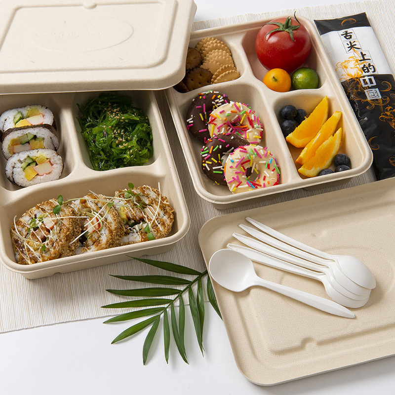 Sugarcane Pulp Lunch Takeaway Bento Box 4 5 Compartment Biodegradable Disposable