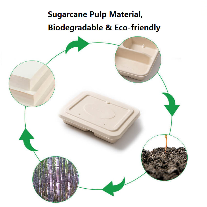 Sugarcane Pulp Lunch Takeaway Bento Box 4 5 Compartment Biodegradable Disposable