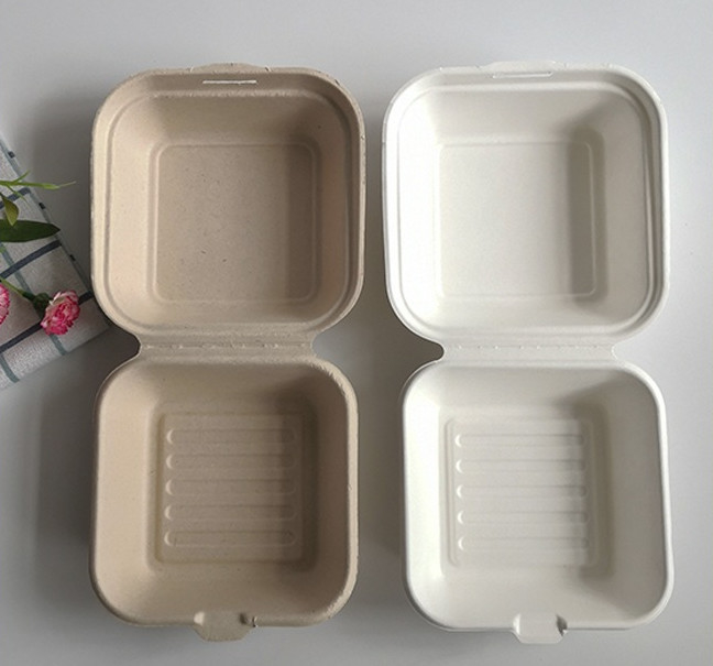 8'' 9" Clamshell Food Containers Sugarcane Food Box Bio Take Away Burger Box