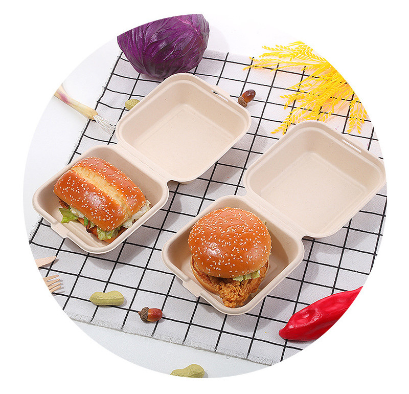 Restaurant Fast Food Takeaway Bento Lunch Square Biodegradable Disposable