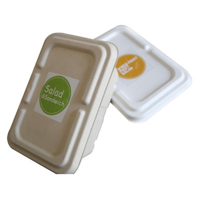 Recycled Compostable Sugarcane Bagasse Food Container Disposable Plant Pulp